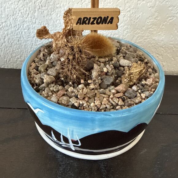 Arizona Southwest Ceramic Planter Pot w Saucer Desert Cactus Scene - Picture 6 of 6